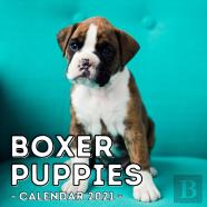 Boxer Puppies Calendar 2021