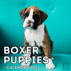 Bertrand.pt - Boxer Puppies Calendar 2021