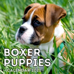 Bertrand.pt - Boxer Puppies Calendar 2021