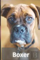 Boxer