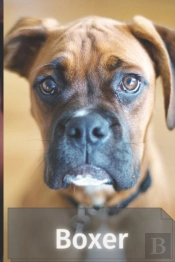 Boxer