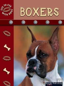 Bertrand.pt - Boxers