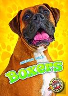 Boxers