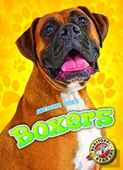 Boxers