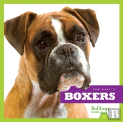 Bertrand.pt - Boxers