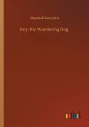 Boy, The Wandering Dog