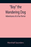 Boy The Wandering Dog