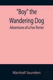 Boy The Wandering Dog
