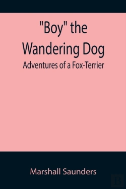 Bertrand.pt - Boy The Wandering Dog