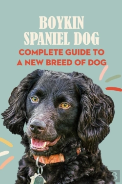 Bertrand.pt - Boykin Spaniel Dog