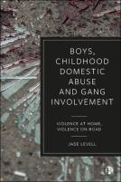 Boys, Childhood Domestic Abuse And Gang Involvement