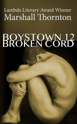 Bertrand.pt - Boystown 12: Broken Cord