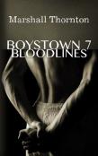 Boystown 7