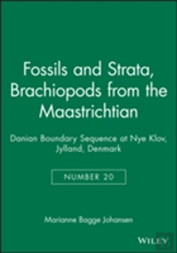 Bertrand.pt - Brachiopods From The Maastrichtian