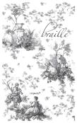 Braille