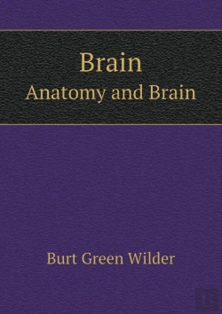 Bertrand.pt - Brain Anatomy And Brain