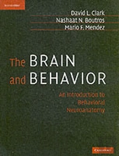 Brain And Behavior