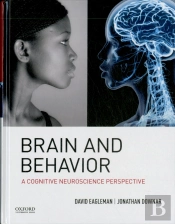Brain And Behavior