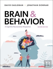 Brain And Behavior