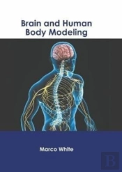 Brain And Human Body Modeling