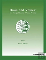 Brain And Values