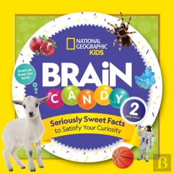 Bertrand.pt - Brain Candy 2