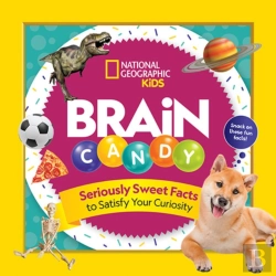 Bertrand.pt - Brain Candy