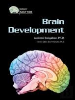 Brain Development