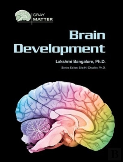 Bertrand.pt - Brain Development