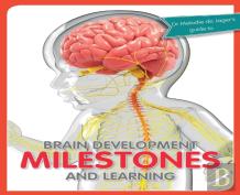 Brain Development Milestones And Learning