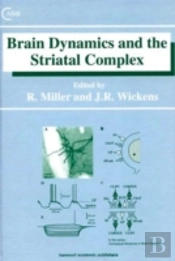 Brain Dynamics And The Striatal Complex