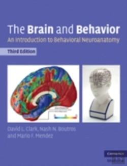 Bertrand.pt - Brain & Behavior
