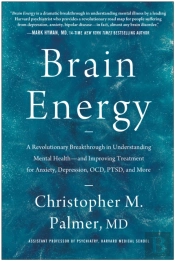 Brain Energy