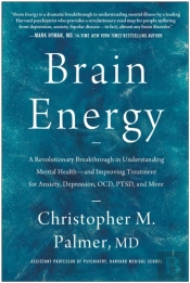 Brain Energy