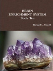 Brain Enrichment System  Book Ten