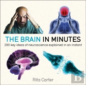 Brain In Minutes