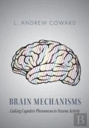 Brain Mechanisms