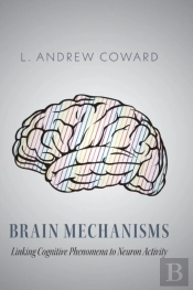 Brain Mechanisms: Linking Cognitive Phen