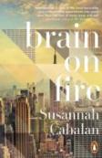 Brain On Fire: My Month Of Madness