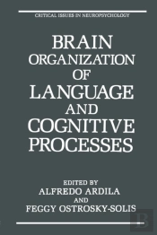 Brain Organization Of Language And Cognitive Processes