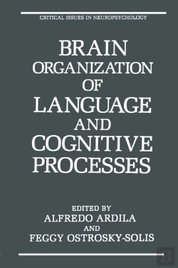 Bertrand.pt - Brain Organization Of Language And Cognitive Processes