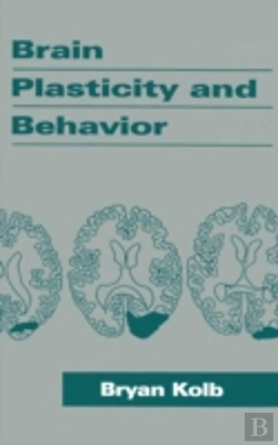 Bertrand.pt - Brain Plasticity And Behavior