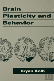 Brain Plasticity And Behavior