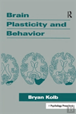 Bertrand.pt - Brain Plasticity And Behavior