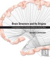 Brain Structure And Its Origins