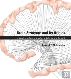 Bertrand.pt - Brain Structure And Its Origins