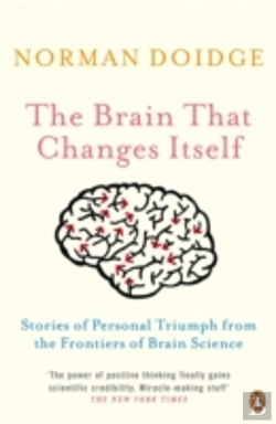 Bertrand.pt - Brain That Changes Itself