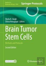 Brain Tumor Stem Cells