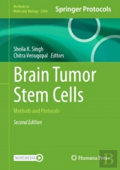 Brain Tumor Stem Cells