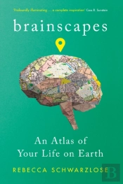 Brainscapes